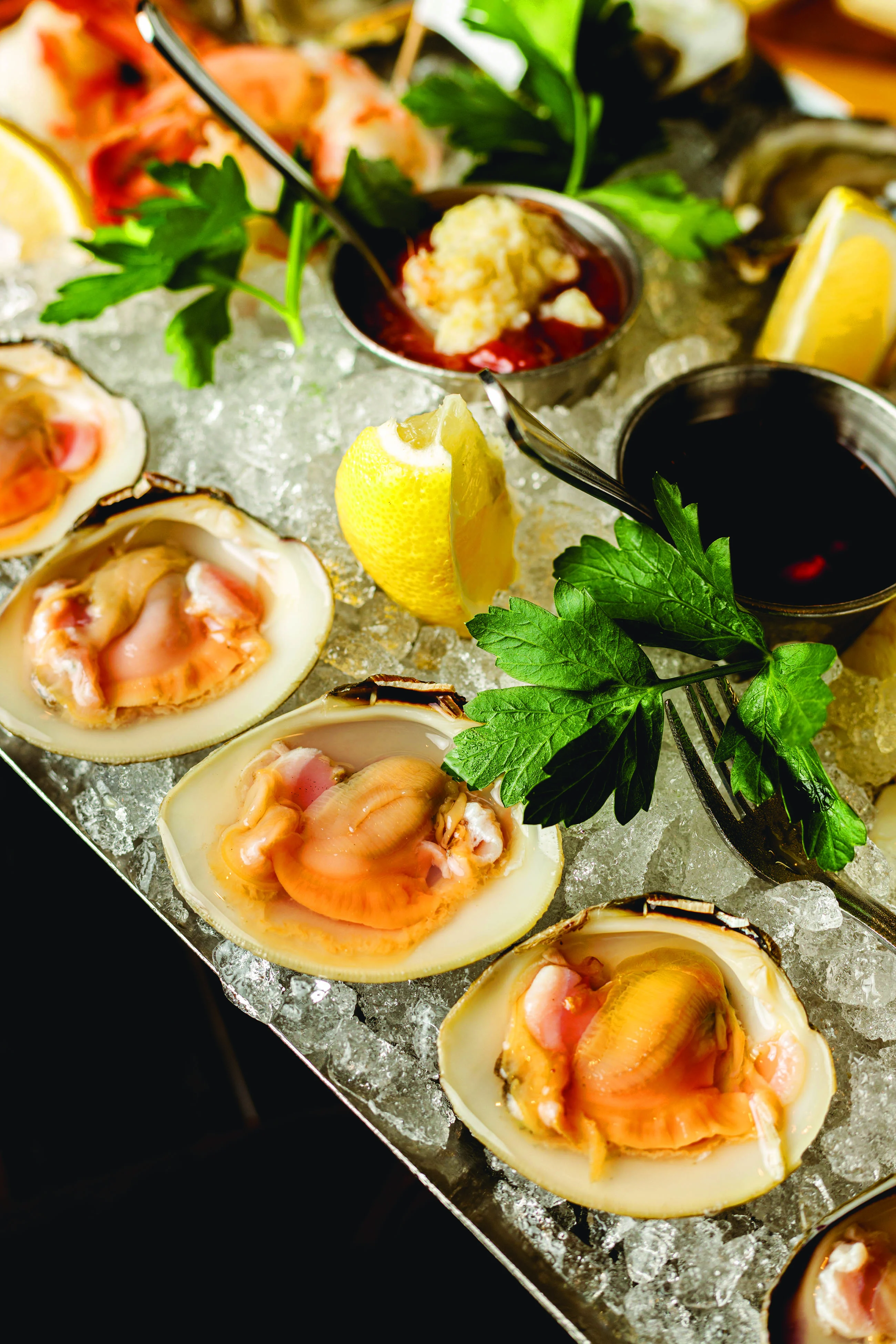 Fresh Salt Lisa NIchols Photo-Oysters-ret